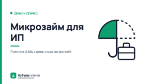 Микрозайм для ИП: почему защиты закона о потребкредите здесь нет