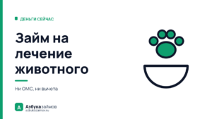 Займ на лечение животного: почему государство здесь не поможет